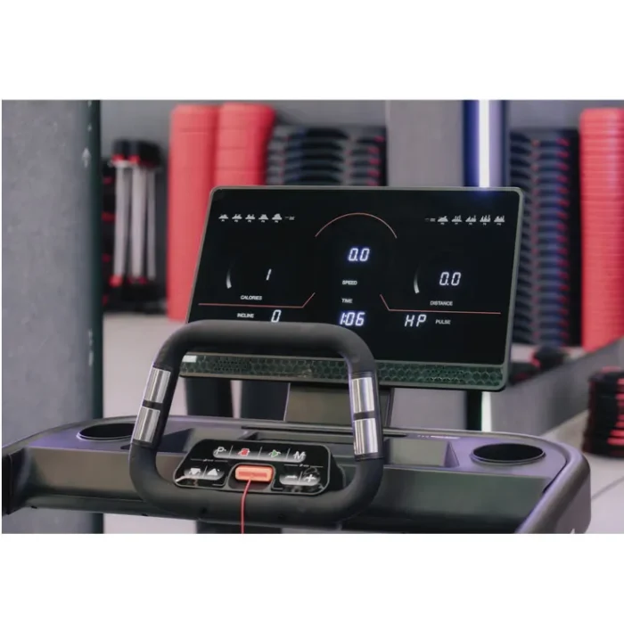 Tapis de Course BH RX7 7