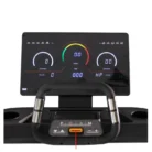 Tapis de Course BH RX9 3