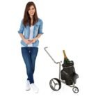 Chariot champagne JuCad 2-compressed
