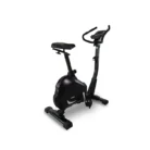Vélo d'appartement BH Artic Dual 1