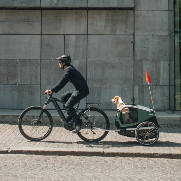 Remorque-pour-chien-Thule-Bexey-M-1_890x890_crop_center-1-1.webp