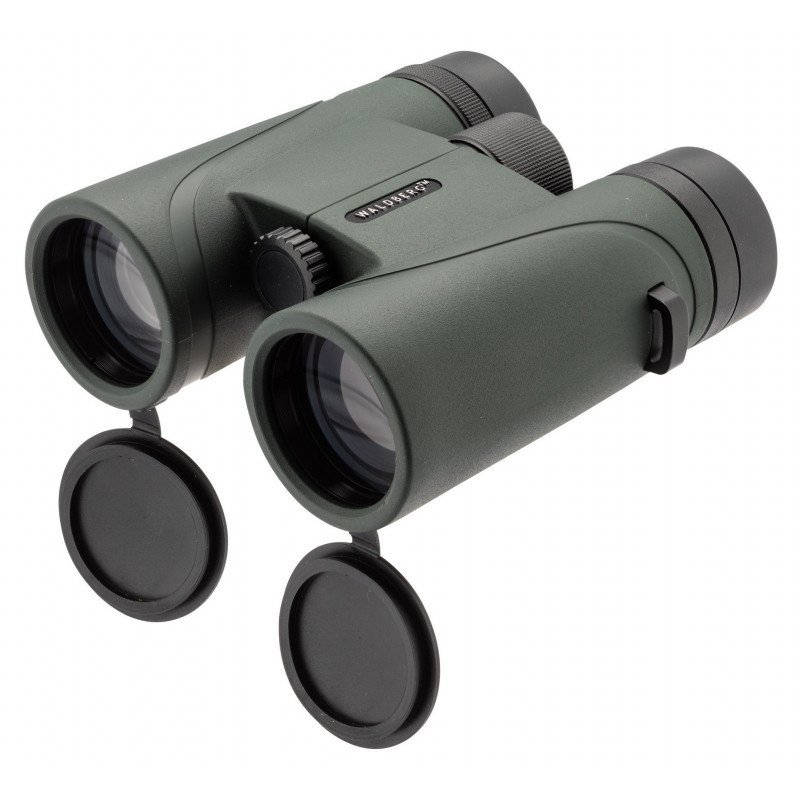 Jumelles 10x42 Waterproof WALDBERG