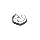 jumelles-eterna-marine-3-silva-1.webp