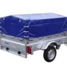 robust-39350-1-compressed.jpg