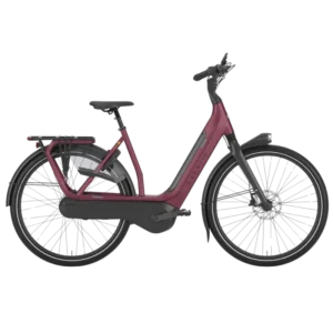 VTC électrique Gazelle Avignon C8 HMB
