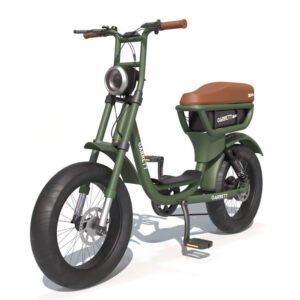 Vélo électrique biplace cargo garrett miller city, batt simple, pneus route