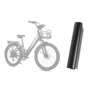 Batterie Samebike RS-A01