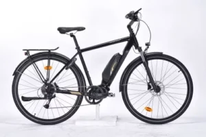 EXS Vélo à assistance électrique BEAUBOURG T50