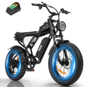 Vélo électrique YVY K20 Lite 1000W gros pneu